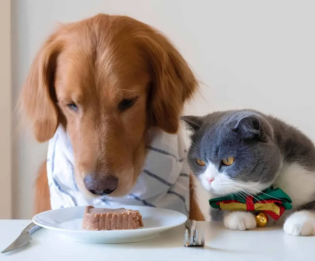 Kedi ve Köpek Mamalarında Kullanılan Koruyucular