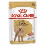 Royal Canin Poodle Yetişkin Köpek Konserve Maması 85 Gr