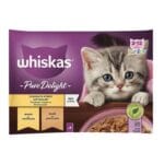 Whiskas Pure Delight Kümes Hayvanlı Yavru Kedi Konserve 4'lü