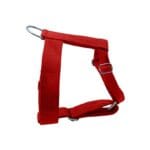 Apco Özel Kalın Üç Ayarlı Kırmızı Köpek Bel Tasması No.1