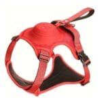 Buddy&Co Köpek Kırmızı Medium Otomatik Gezdirmeli Göğüs Tasması