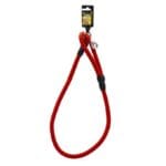 Doglife Fitil Gezdirme Köpek Tasması 120 x 16 mm