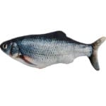 Lion Pets Pilli Balık Kedi Oyuncak