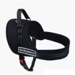 Pet Corn Sports Dog Köpek Small Göğüs Tasması