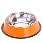 Pet Pretty Renkli Baskılı Turuncu Çelik Mama Kabı 16 Cm