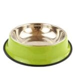 Pet Pretty Renkli Baskılı Yeşil Çelik Mama Kabı 22 Cm
