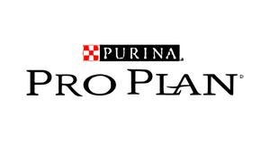 Pro Plan