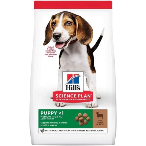 hills-puppy-lamb-kuzu-etli-yavru-kopek-m-de28-removebg-preview