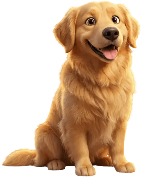 Yetişkin Köpek Maması