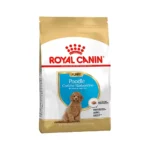 Royal Canin Poodle Yavru Köpek Maması 3 Kg