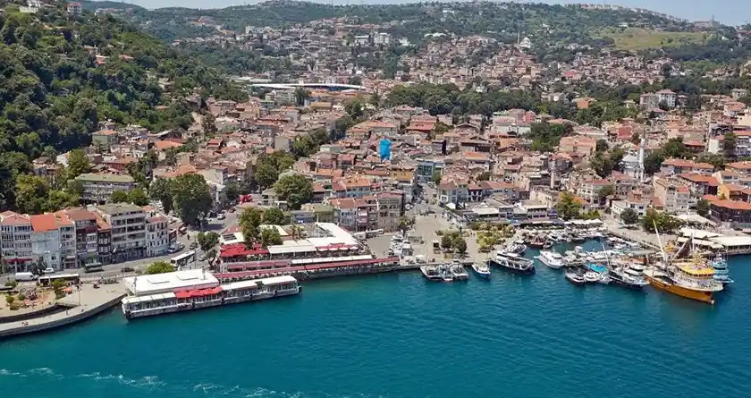 Sarıyer pet shop hızlı kedi ve köpek maması teslimat bölgesi Patiya