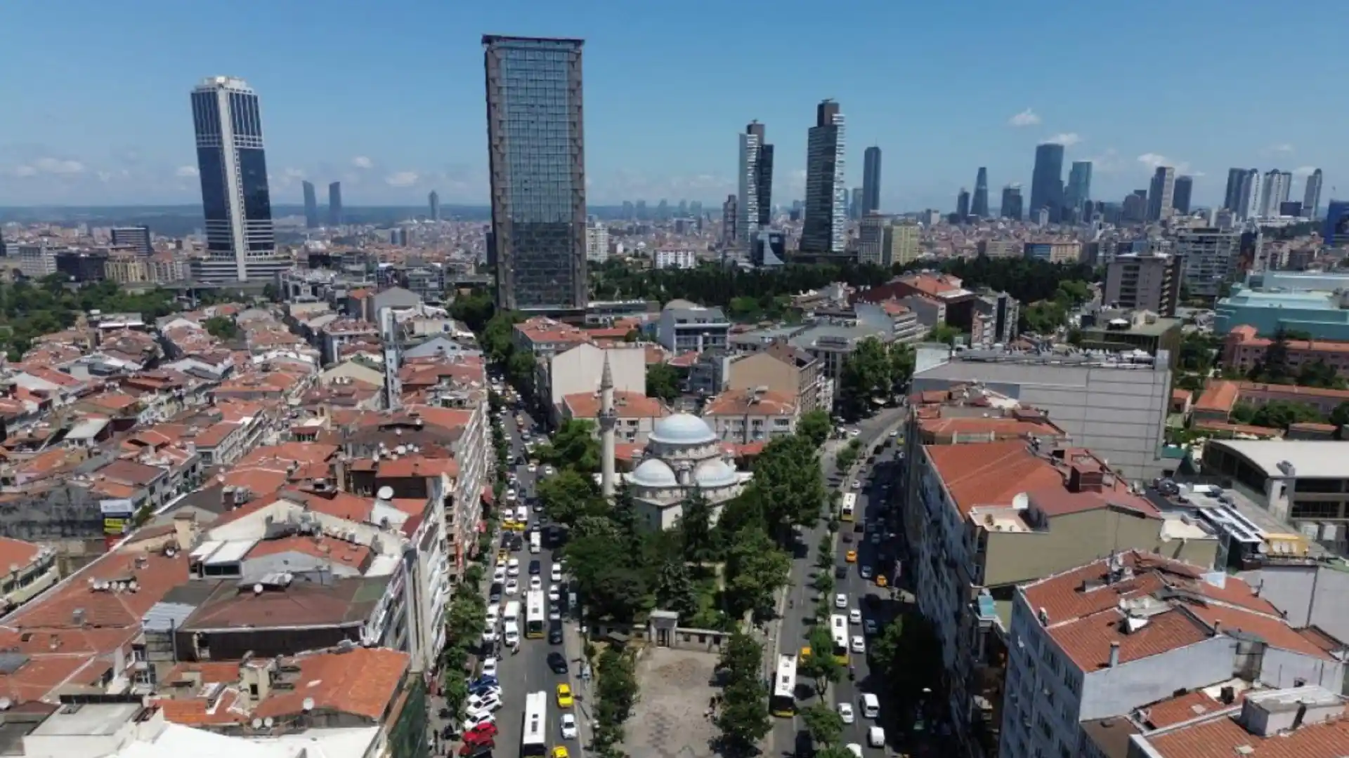 Şişli yerel pet shop hizmetleri kedi ve köpek aksesuarları